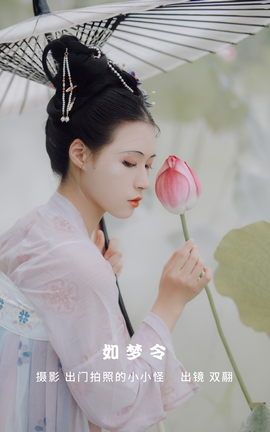 艺图语YITUYU 2022.09.25 如梦令 努力搬砖的双翮_丽丝库