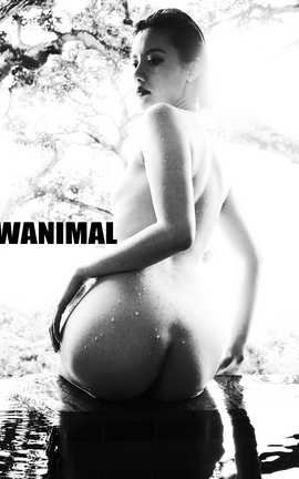 ģ  Ӱʦ-WANIMAL ̩ļƻ_˿