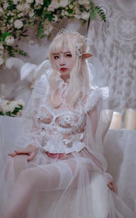 Nisa 鹫