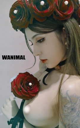 Ʒģͼϼ_˿